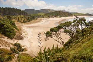 Ocean Beach view - Whangarei Photography