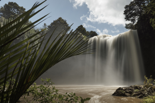 Whangarei Falls - Whangarei Photography