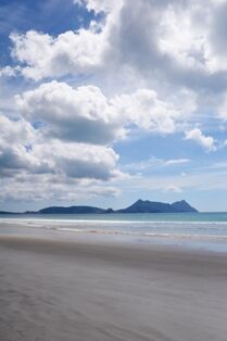 Ruakaka Beach - portrait