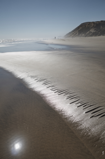 Kawhia Beach - Portrait