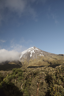 Taranaki - portrait