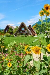 Gassho houses Japan - portrait